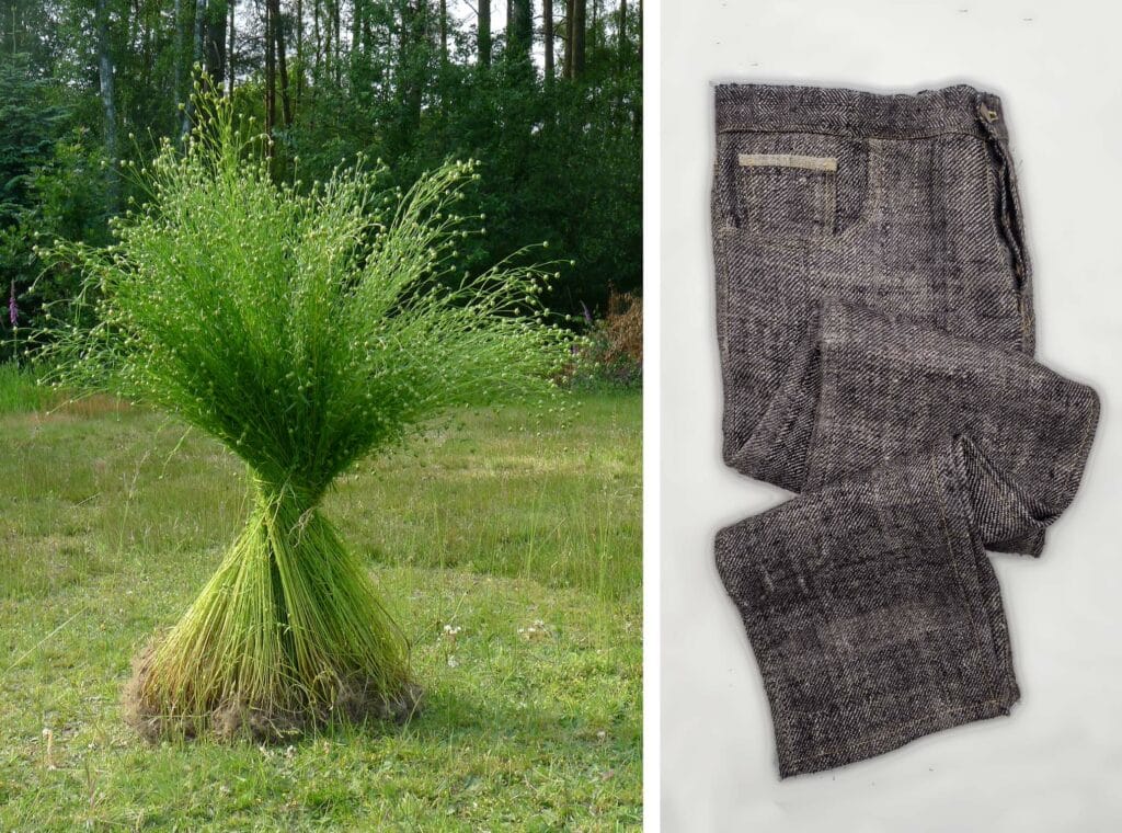 From Flax to Linen Jeans